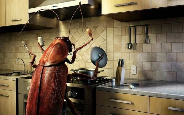 food bug