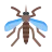 icons8 mosquito 48
